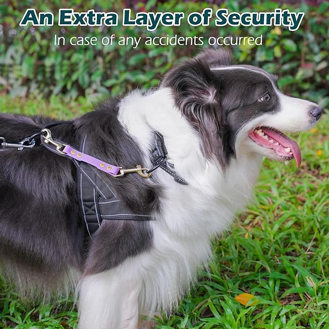 PetBonus Dog Collar Safety Clip, Waterproof Backup Safety Strap for Dog Harness to Prong Collar, Odor Proof Double Ended Clasp Leash Connector for Training Walking (Purple)