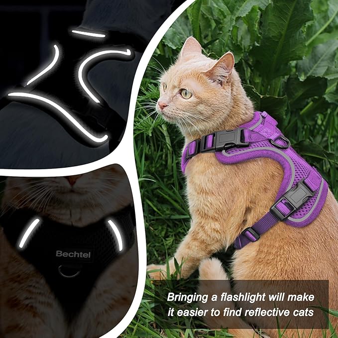 Kitten Harness and Leash Seat, The Upgrade Can be Adjusted in Four Directions and Breathable Cat Harness for Anti Escape That can be Fitted and Positioned, Reflective Strips Harness, Purple,XXS
