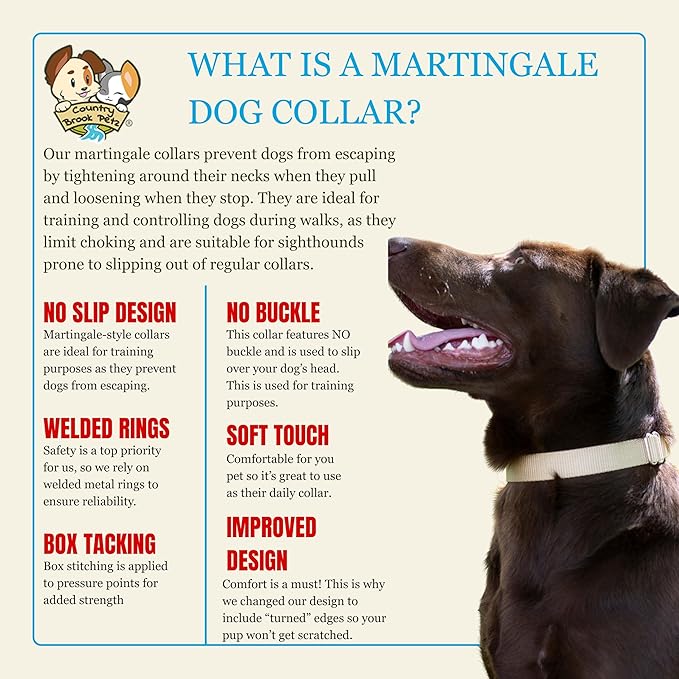 Country Brook Petz Martingale Dog Collar - Heavy-Duty Training Collar with No Buckle - Service Dog Collar for All Pups - Vibrant, Colorful Collection (Copper Gold, 3/8 Inch, 2XS)