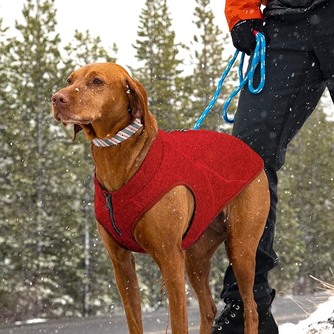 Kurgo Core Dog Sweater, Knit Dog Sweater with Fleece Lining, Cold Weather Pet Jacket, Zipper Opening for Harness, Adjustable Neck, Year-Round Sweater for Large Dogs (Heather Red, Large)