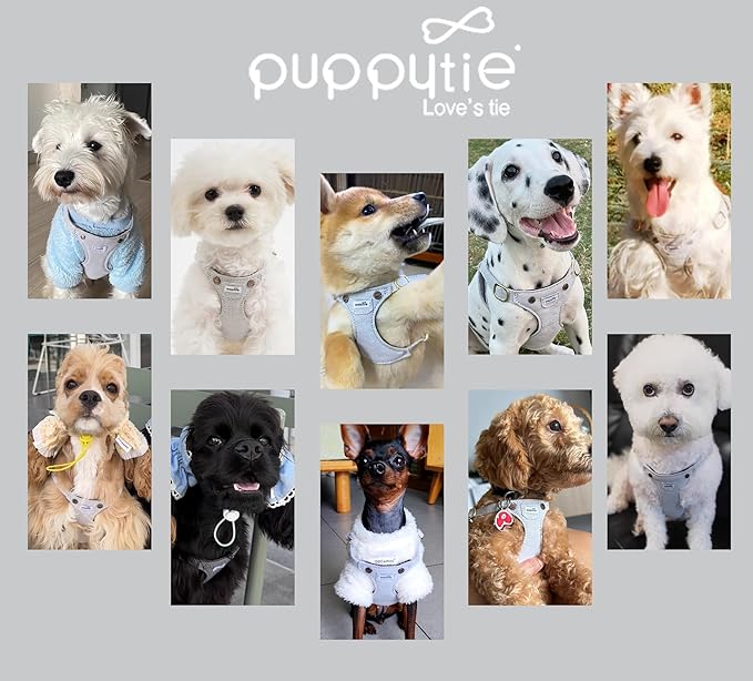 Puppytie No Pull xs Dog Harness with Multifunction Dog Leash,Soft Adjustable No Choke Escape Proof Pet Harness Vest,Denim Gray,XXS