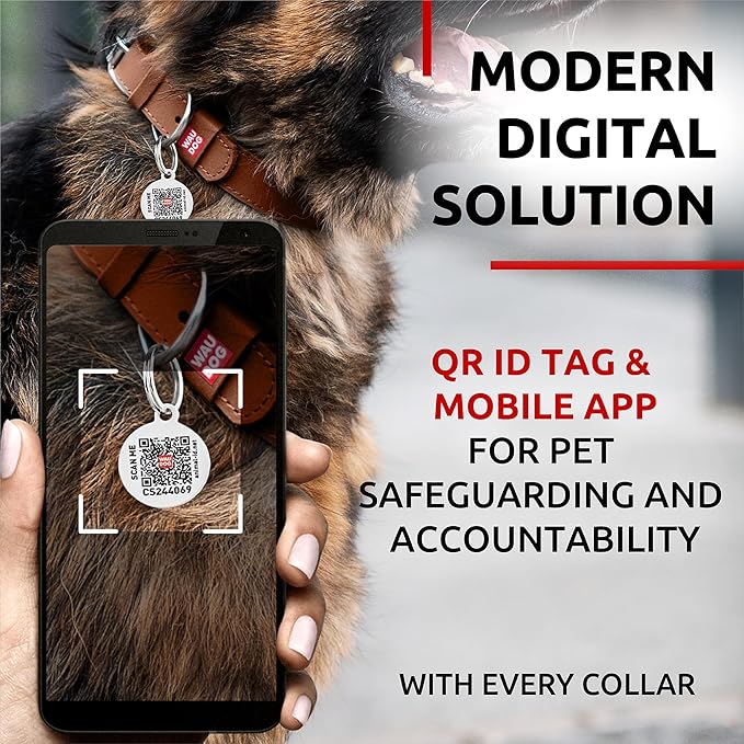 WAUDOG Long Lasting Leather Dog Collar for Large Dogs, Medium & Small Dogs - Adjustable Classic Puppy Collars for Large Breed Dogs - Boy & Girl Dog Collars with Durable Buckle, D-Ring & QR Dog Tag
