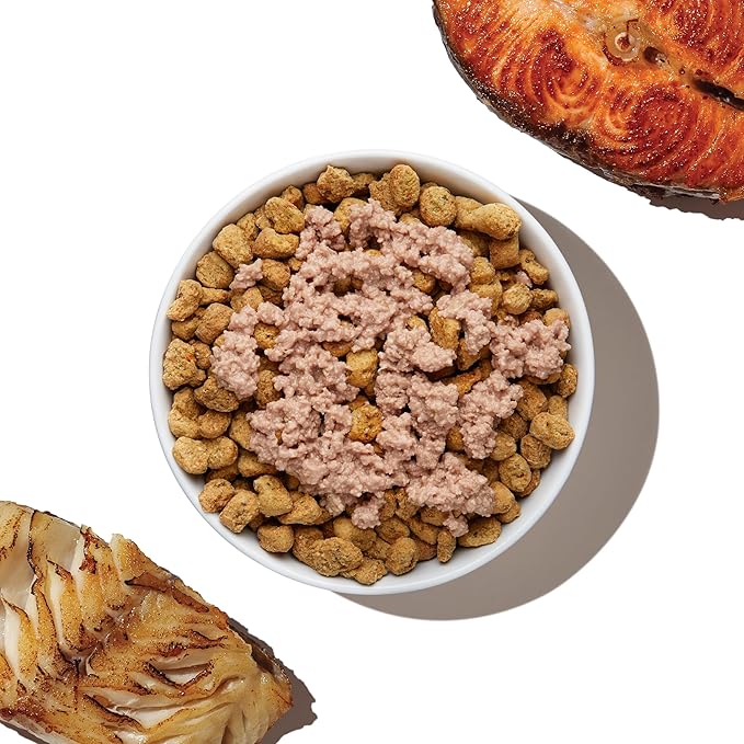 The Honest Kitchen Human Grade Grain Free Meal Booster: 99% Salmon & Pollock (12 pack), 5.5 oz