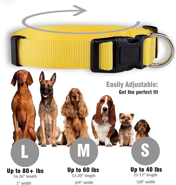 Native Pup Basic Nylon Dog Collar, Adjustable for Small, Medium, Large pet and Puppies Accessories, Cute Colors for Male, Female, boy, Girl, Puppy (Large, Yellow)