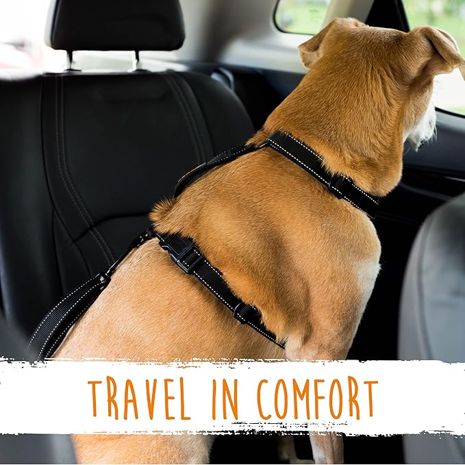 Mighty Paw Dog Seat Belt For Car - LATCH Compatible Adjustable Dog Seatbelt Harness for Small, Medium and Large Pets. Distraction Free Driving, Heavy-Duty Design with Aviation Grade Aluminum Carabiner