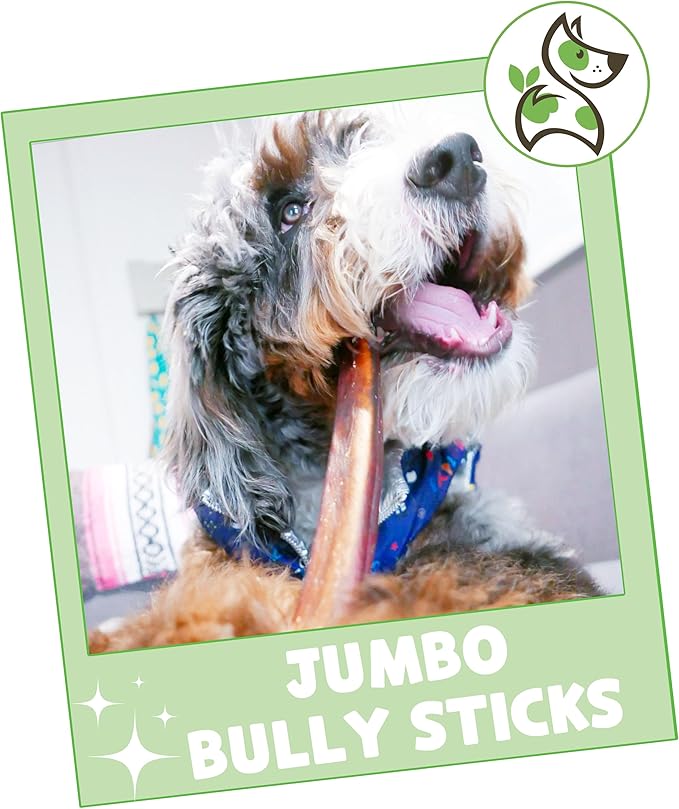 Nature Gnaws Extra Large Bully Sticks for Dogs 11-12" (6 Count) - Thick Long Lasting for Aggressive Chewers and Heavy Chewers - Natural Beef Dog Chew Bones