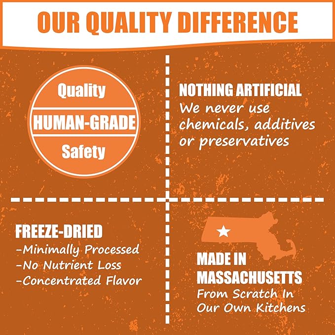 Whole Life Pet Human Grade Probiotic Dog Treats - Pumpkin & Yogurt – Easy Digestion, Firmer Stool, Sensitive Stomachs - Made in The USA (Pack of 2)
