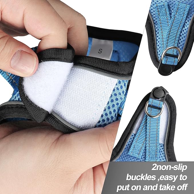 Dog Harness for Small Dogs and Leash Set, Honeycomb Grid, Reflective Lightweight Harness & Anti-Twist Pet Lead Multi Color, Size: XS-S-M. (M, Marine Blue)