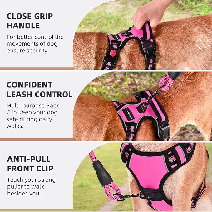 No Pull Dog Harness with A Free Heavy Duty 5ft Dog Leash, Adjustable Soft Padded Dog Vest, Reflective No-Choke Pet Oxford Vest with Easy Control Handle and Dog Leash for Dogs(Pink, Small)