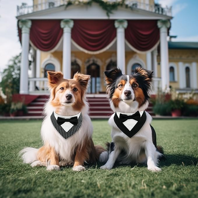 Cyeollo 2-Pack Wedding Tuxedo Costume for Small Dogs - Adjustable Dog Bandanas Collar with Bow Tie - Black & Striped, XS