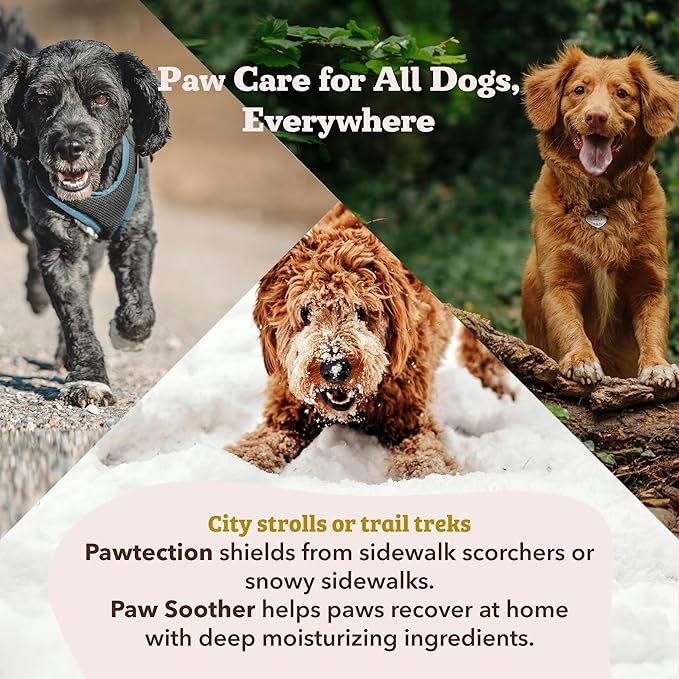 Natural Dog Company Paw Soother Balm & Wax for Dogs, Moisturizing Relief for Dry, Cracked Paws, Lick-Safe, Repairs & Heals, Protects Against Extreme Weather, Coconut Oil & Vitamin E, 2 oz Stick