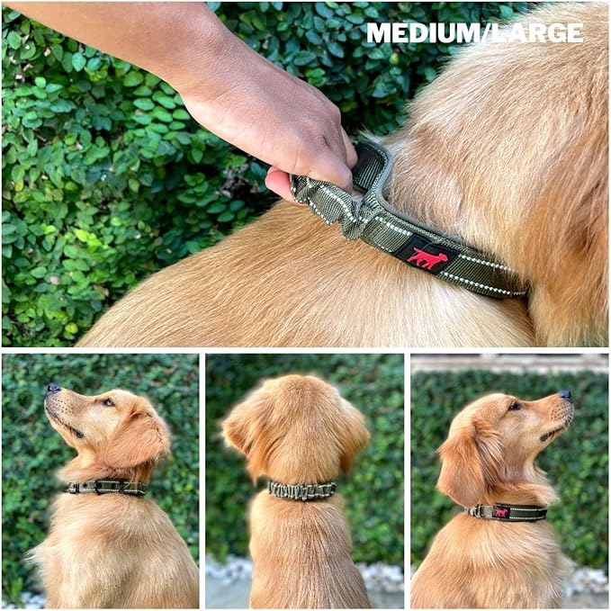 Heavy Duty Dog Collar With Handle | Ballistic Nylon Heavy Duty Collar | Padded Reflective Dog Collar With Adjustable Stainless Steel Hardware | Convenient Sizing for All Breeds