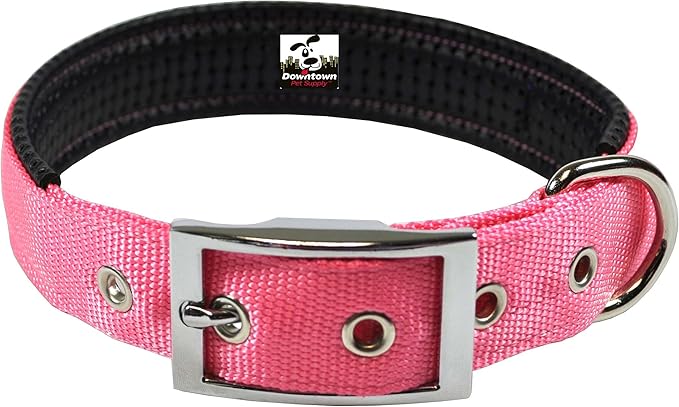 Downtown Pet Supply Deluxe Padded Adjustable Dog Collar - Metal Buckle & D-Ring - Machine Washable & Water Resistant - Pink - M