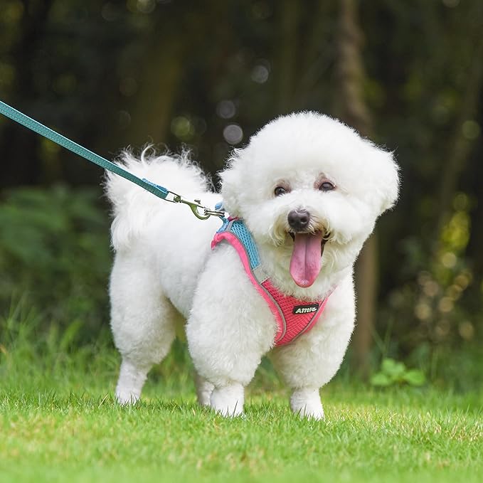 AIITLE No Pull Dog Harness and Leash Set, Step in Adjustable Dog Harness with Padded Vest for All Weather, Dog Leash with Soft Padded Handle, Easy to Put on Small and Medium Dogs Hot Pink S