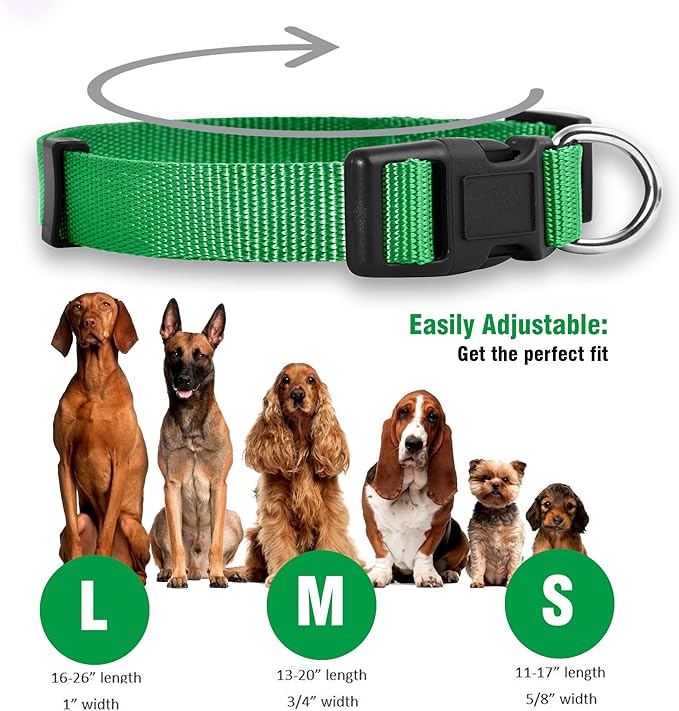 Native Pup Basic Nylon Dog Collar, Adjustable for Small, Medium, Large pet and Puppies Accessories, Cute Colors for Male, Female, boy, Girl, Puppy (Large, Green)