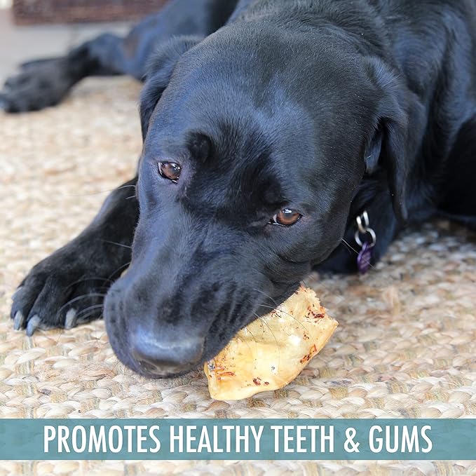 Water Buffalo All Natural Dusted Ear Dog Chews, Treats & Dog Snacks - 20 Piece Value Pack (Grain Free Treats - Great Alternative to Pig Ears, Cow Ears, Bones & Rawhides for Dogs)