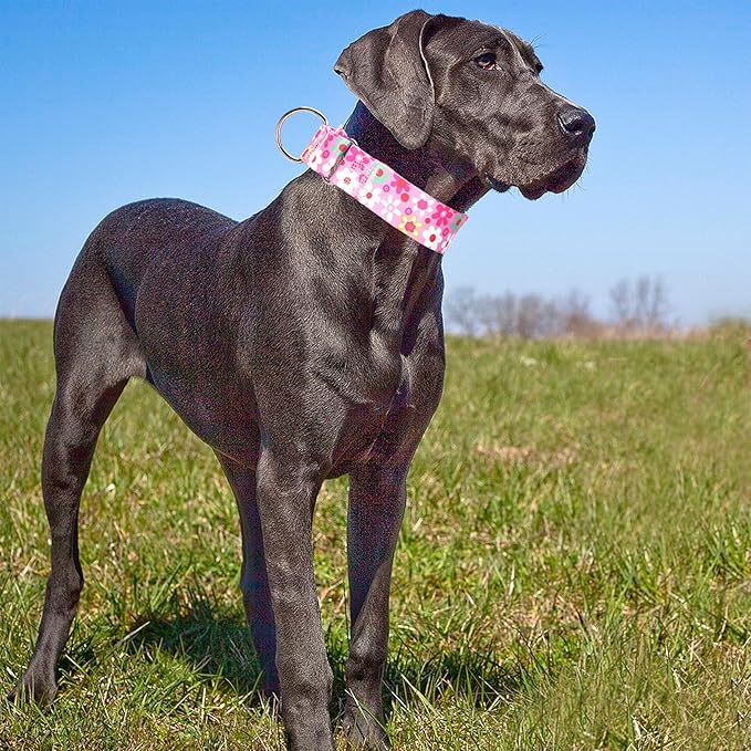Wide Pink Martingale Collar for Dogs,1.5 Inches Martingale Collar with Flowers Pattern,No Slip Dog Collar Perfect for Training,Walking, Hunting(Pink Flowers L)