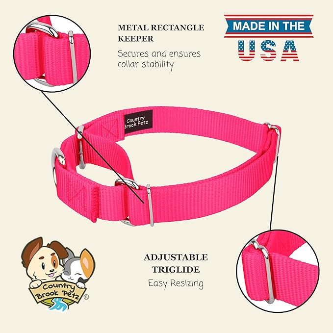 Country Brook Petz Martingale Dog Collar - Heavy-Duty Training Collar with No Buckle - Service Dog Collar for All Pups - Vibrant, Colorful Collection (Hot Pink, 3/8 Inch, 2XS)