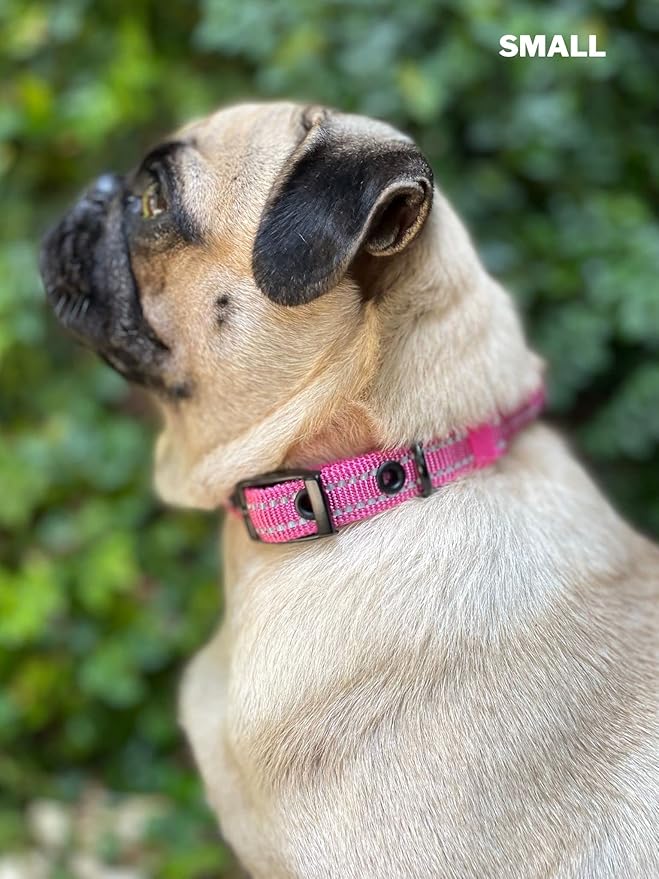 Heavy Duty Dog Collar with Handle | Ballistic Nylon Heavy Duty Collar | Padded Reflective Dog Collar with Adjustable Stainless Steel Hardware | Convenient Sizing for All Breeds