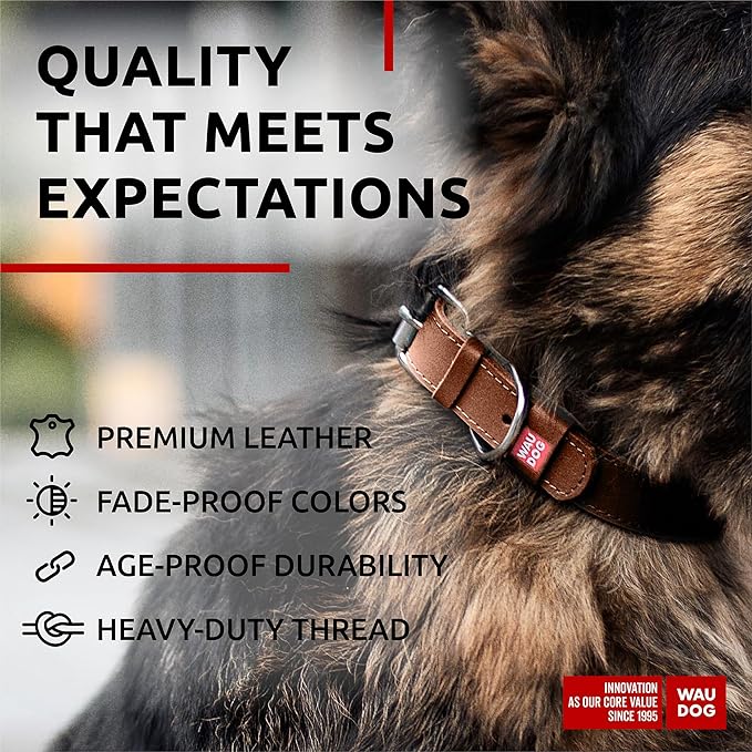 WAUDOG Long Lasting Leather Dog Collar for Large Dogs, Medium & Small Dogs - Adjustable Classic Puppy Collars for Large Breed Dogs - Boy & Girl Dog Collars with Durable Buckle, D-Ring & QR Dog Tag