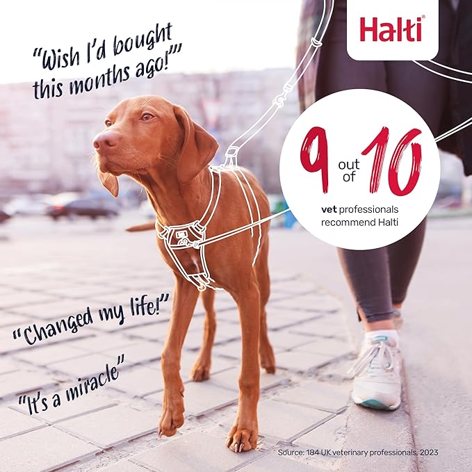 HALTI No Pull Harness - to Stop Your Dog Pulling on The Leash. Adjustable, Lightweight and Easy to Use. Reflective Dog Training Harness for Small Dogs (Size S, Desert Sand)