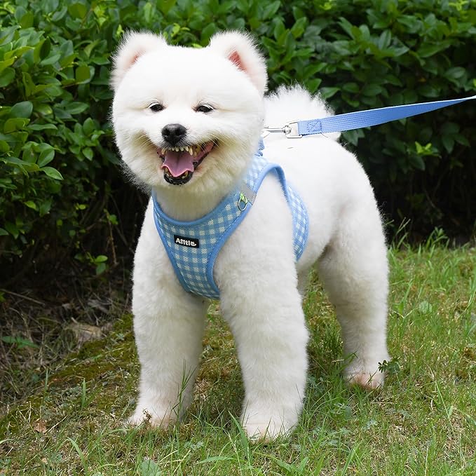 AIITLE No Pull Dog Harness and Leash Set, Step in No Chock Soft Mesh Dog Harnesses Reflective for Extra-Small Puppy Dogs and Cats, Plaid Dog Vest Harness for Pets Blue XXS