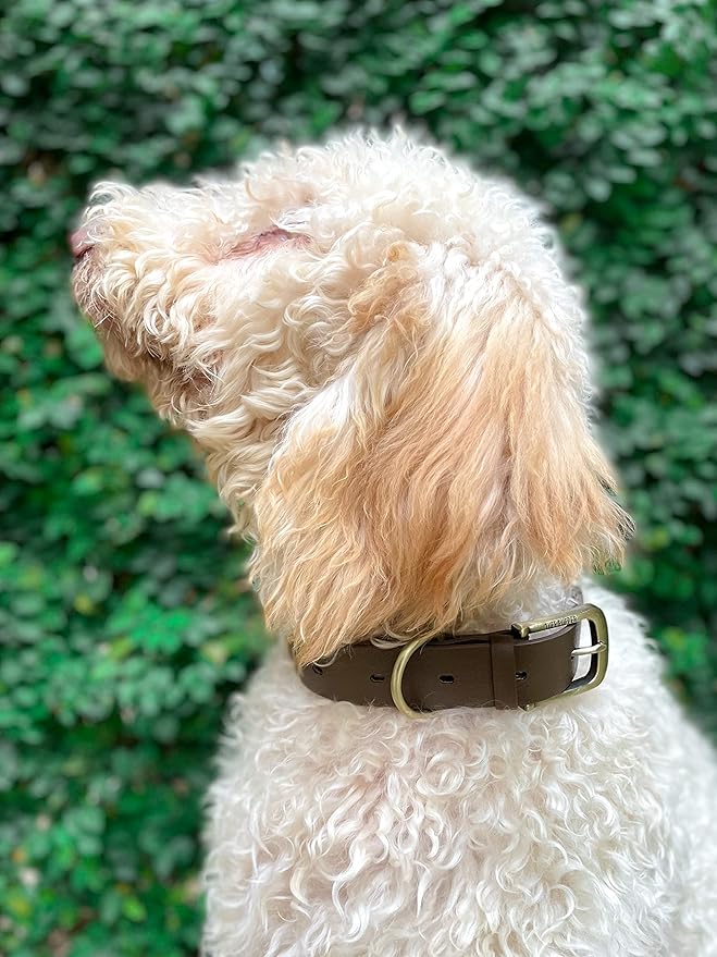 Tuff Pupper Classic Heavy Duty Dog Collar | 10x Stronger Than Leather | 100% Waterproof & Odor Proof Dog Collar | Tough Rust-Proof All Metal Hardware