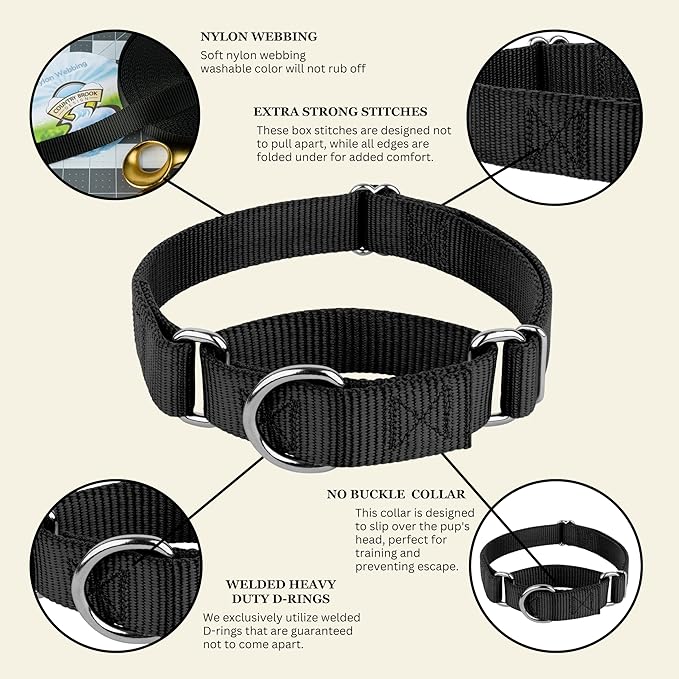 Country Brook Petz Martingale Dog Collar - Heavy-Duty Training Collar with No Buckle - Service Dog Collar for All Pups - Vibrant, Colorful Collection (Black, 5/8 Inch, Extra Small)