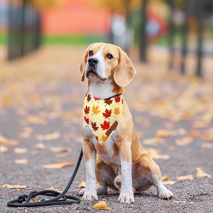 Realeaf Fall Dog Bandanas 2 Pack, Orange Pumpkin and Leaf Print Pet Scarf for Boy and Girl, Premium Durable Fabric, Holiday Bandana for Large and X-Large Dogs (X-Large)