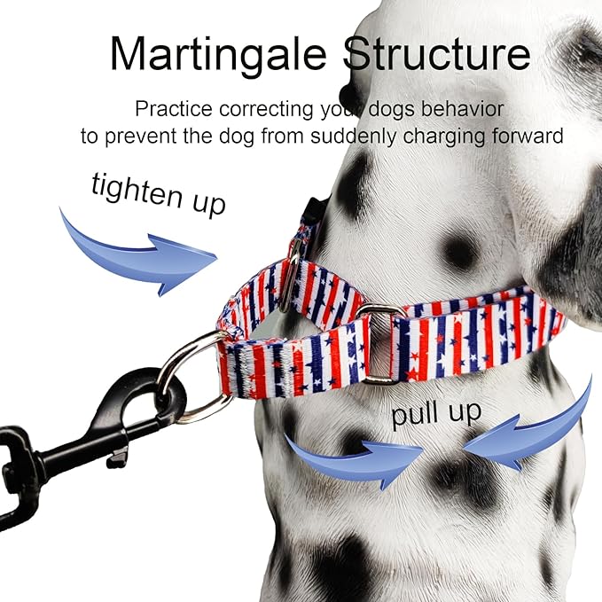 American Flag Martingale Collar 4th of July Star Holiday Dog Collar with Buckle Adjustable Pet Collars (Red Blue Patriotic Stripes, Medium)