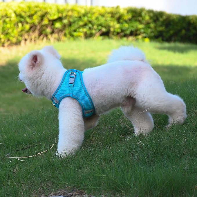 AIITLE No Pull Dog Harness and Leash Set, Step in Adjustable Dog Harness with Padded Vest for All Weather, Reflective Pet Harness, Easy to Put on Small Dogs Blue S