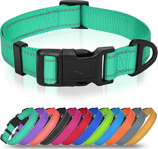 Joytale Small Dog Collar, Reflective and Adjustable Nylon Collar with Quick-Release Buckle, Lightweight No-Choke Design for Small Dogs, Teal, 5/8" Width