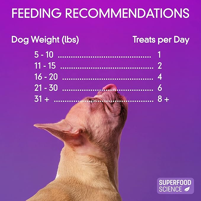 Organic Dog Treats for Small, Medium & Large Dogs – Turkey Training Treats for Puppies & Adult Dogs, Grain-Free, Hypoallergenic, All-Natural, Healthy, Low-Calorie, Semi-Soft Chews, Made in USA, 5 oz