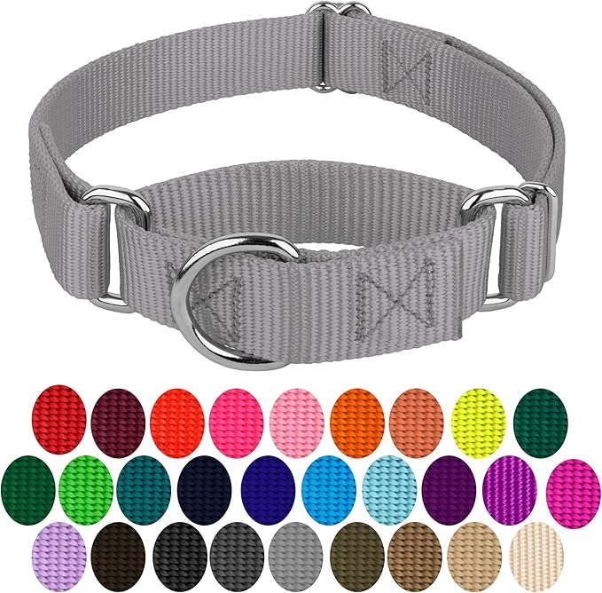 Country Brook Petz Martingale Dog Collar - Heavy-Duty Training Collar with No Buckle - Service Dog Collar for All Pups - Vibrant, Colorful Collection (Silver, 3/8 Inch, 3XS)
