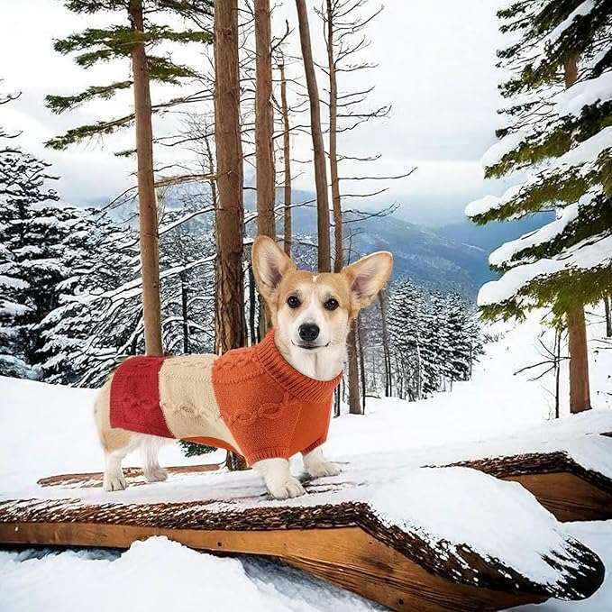 Dog Knitted Turtleneck Sweater - Dog Warm Pullover Color Block Cable Knitwear, Doggie Winter Clothes for Cats and Small Dogs Chihuahua, Bulldog (Orange, M)