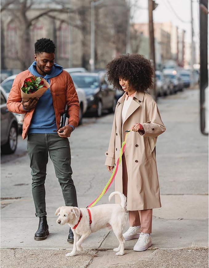 Mile High Life | Bungee Dog Leash | Gentle Pull Training Lead | Soft Comfort Texture | 3-5 Feet | for Dogs/Cats Under 20 lb (Lime/Pink)