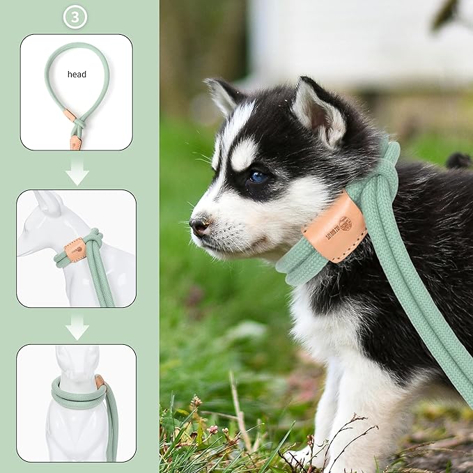 Mile High Life Harness Lead No Pull, All in one Dog Lead 2-in-1, Rope Leash and Harness Two in One, Slip Leash for Puppy Small Dogs Training, 4FT Green