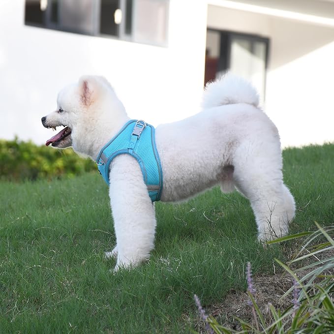 AIITLE Puppy Harness and Leash Set for Walking, Step in Dog Harness, Soft Breathable Pet Supplies, Reflective Bands, for Extra Small Dogs and House Cats Blue XXXS