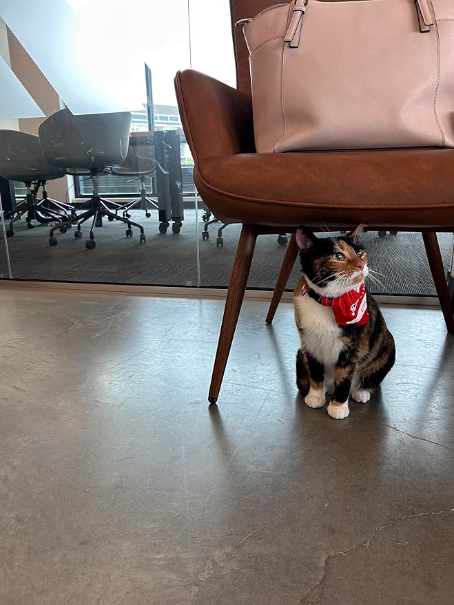Reversible Pet Bandana