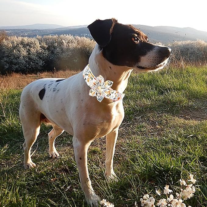 Elegant little tail Dog Collar, Floral Print Spring Pet Collars with Flower Pet Gift Girl Flower Collar Female Adjustable Dog Collars for X-Large Dogs