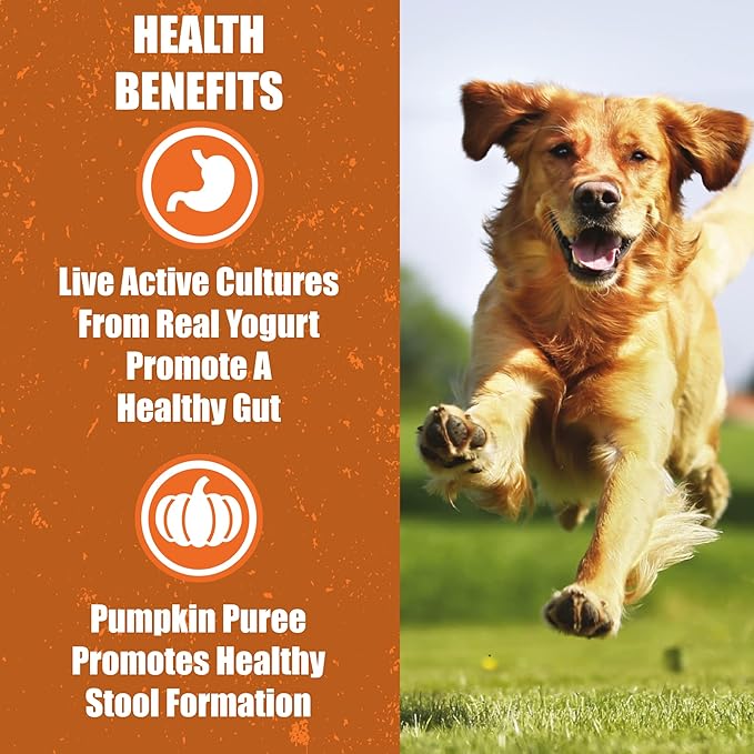Whole Life Pet Human Grade Probiotic Dog Treats - Pumpkin & Yogurt – Easy Digestion, Firmer Stool, Sensitive Stomachs - Made in The USA (Pack of 2)