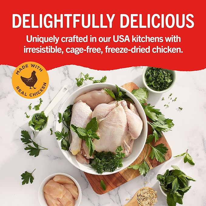 Stella & Chewy's Dental Delights with Freeze-Dried Chicken - Small Dental Treats for Dogs, Single Serve