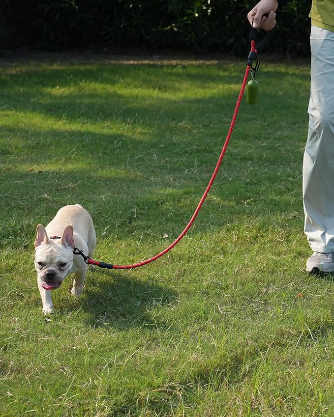 Joytale Reflective Dog Leash, Heavy Duty Nylon Rope with Poop Bag Holder, Highly Reflective Threads Leashes for Small Dogs, Red, 6'×3/8''