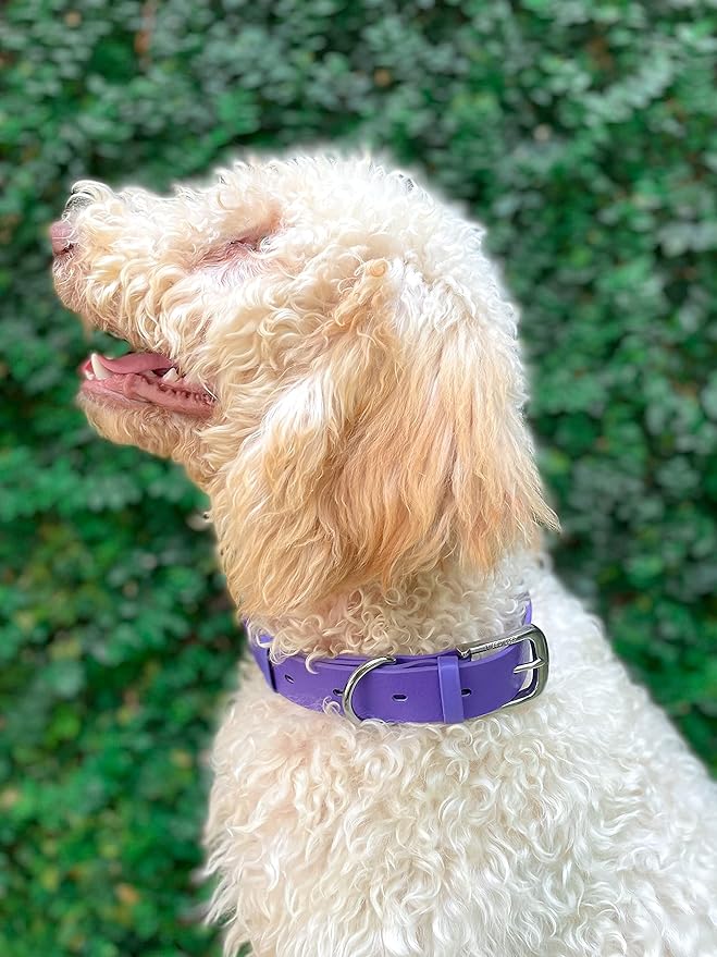 Tuff Pupper Classic Heavy Duty Dog Collar | 10x Stronger Than Leather | 100% Waterproof & Odor Proof Dog Collar | Tough Rust-Proof All Metal Hardware