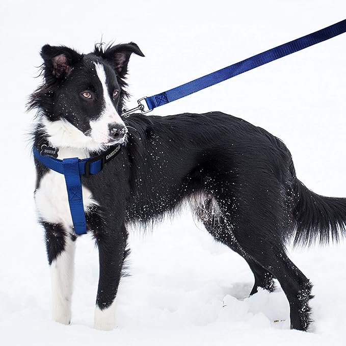 No Pull Dog Harness - Adjustable Step-in Harness & Leash Set for Small, Medium, Large Dogs - Escape Proof Soft Pet Harness for Walking, Training, Hiking, Outdoor Activities