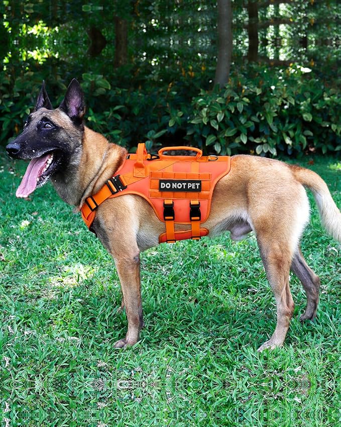 Tactical Dog Harness - PETNANNY Dog Harness Service Dog Vest for Large Breed Dog, Hook and Loop Panel for Service Dog Patchs, Work Dog MOLLE Vest with Handle for Walking Hiking Training(Orange,M)