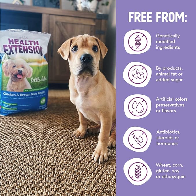 Health Extension Little Bites Chicken & Brown Rice Dry Dog Food (1 lb / 0.45 kg) - Natural with Probiotics and Superfoods for Teacup, Toy & Small Breeds (Pack of 6)