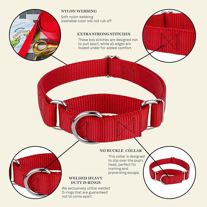 Country Brook Petz Martingale Dog Collar - Heavy-Duty Training Collar with No Buckle - Service Dog Collar for All Pups - Vibrant, Colorful Collection (Red, 1 Inch, Medium)