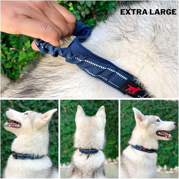 Tuff Pupper Heavy Duty Dog Collar with Handle | Ballistic Nylon Heavy Duty Collar | Padded Reflective Dog Collar with Adjustable Stainless Steel Hardware | Convenient Sizing for All Breeds
