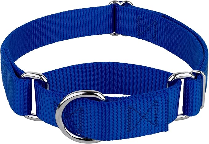 Country Brook Petz Martingale Dog Collar - Heavy-Duty Training Collar with No Buckle - Service Dog Collar for All Pups - Vibrant, Colorful Collection (Royal Blue, 1 Inch, Large)